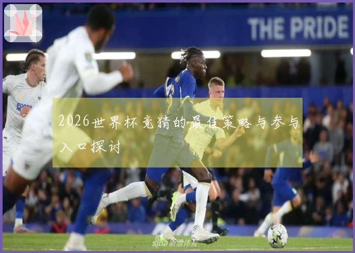 2026世界杯竞猜的最佳策略与参与入口探讨
