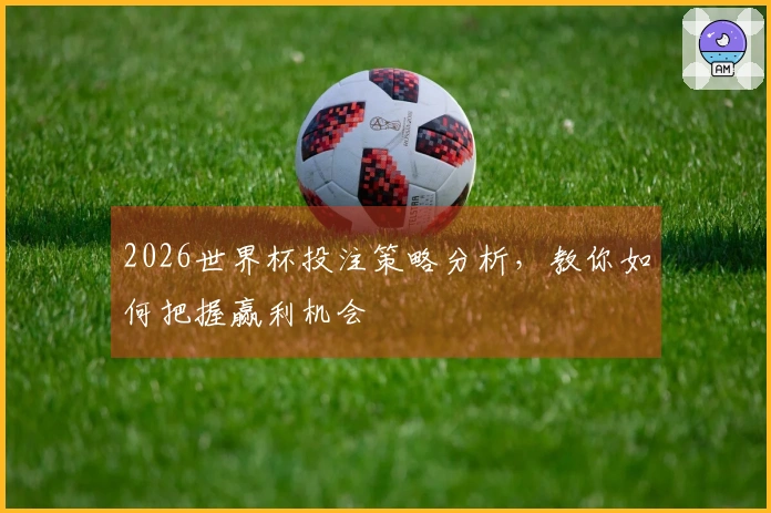 2026世界杯投注策略分析，教你如何把握赢利机会