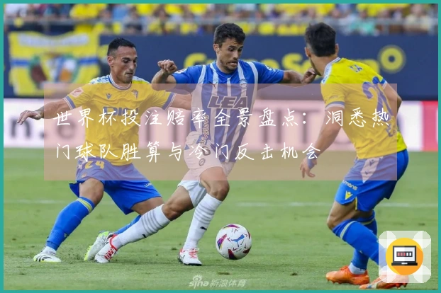 世界杯投注赔率全景盘点：洞悉热门球队胜算与冷门反击机会