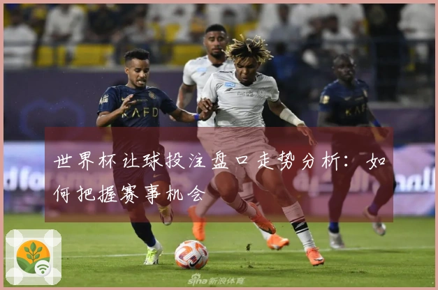 世界杯让球投注盘口走势分析:如何把握赛事机会