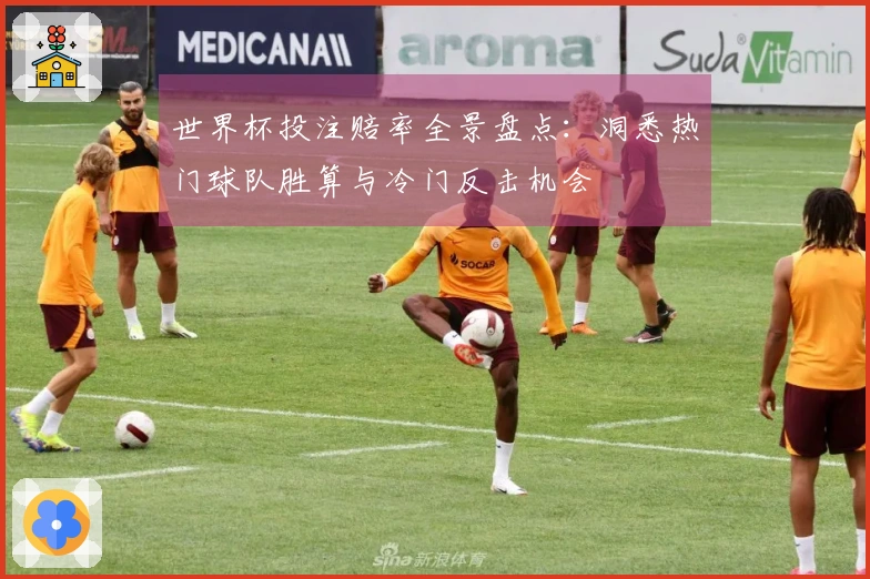 世界杯投注赔率全景盘点：洞悉热门球队胜算与冷门反击机会
