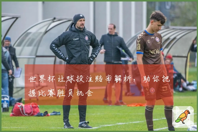 世界杯让球投注赔率解析，助你把握比赛胜负机会