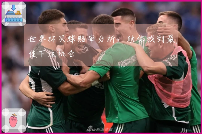 世界杯买球赔率分析，助你找到最佳下注机会