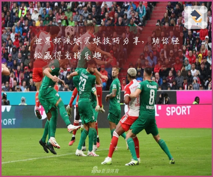 世界杯滚球买球技巧分享，助你轻松赢得竞猜乐趣