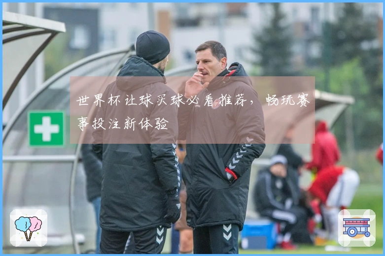 世界杯让球买球必看推荐，畅玩赛事投注新体验